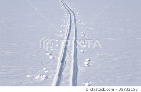 Cross country ski track. 38732158