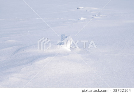 Fresh snow background. 38732164