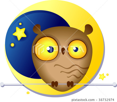 cute funny owl on the background of the moon 38732974