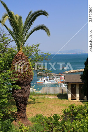 Takamijimaura village 38733664