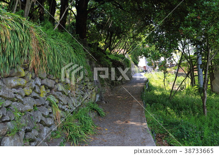 Takamijimaura村 38733665