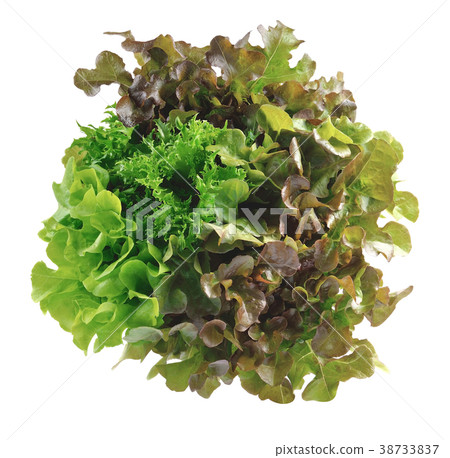 Fresh  lettuce leaves isolated on white  38733837