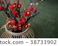 Red plum 38733902