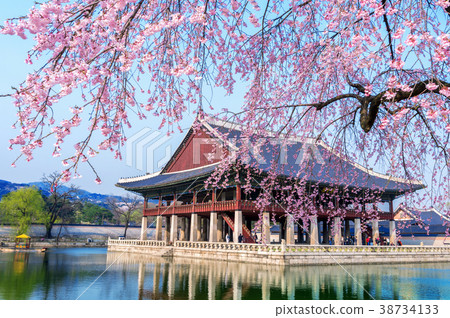 Gyeongbokgung Palace with cherry blossom in spring 38734133