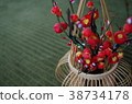Red plum 38734178