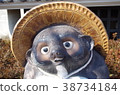 Raccoon ornament 38734184