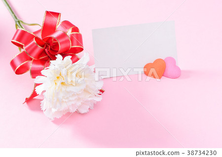 母親節康乃馨母親節康乃馨 38734230