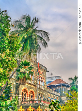 Palm tree at a palace in Mumbai, India 38734490