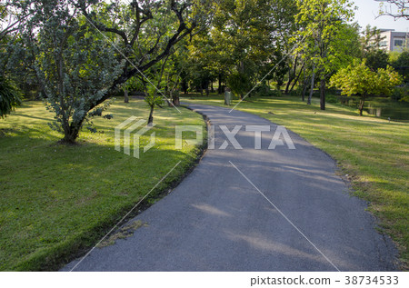 Walkway in the park 38734533