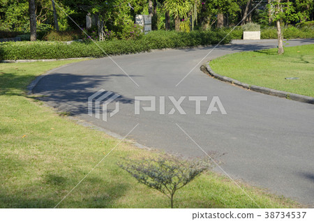 Walkway in the park 38734537