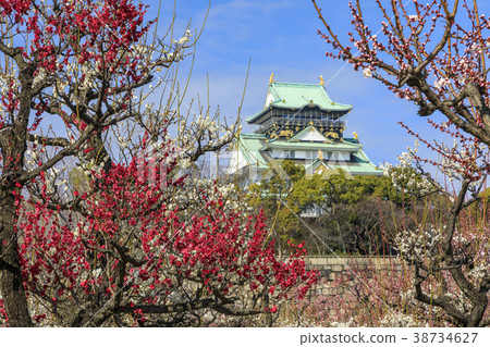 Osaka Castle 38734627