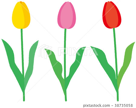 花thuriap 3顏色黃色粉紅色紅色 38735058