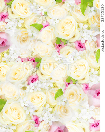 背景 - 鮮花 背景 - 鮮花 38735120