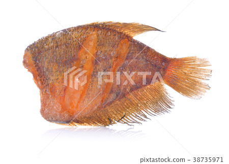 Fried fish isolated on white background. Fried fish isolated on white background. 38735971