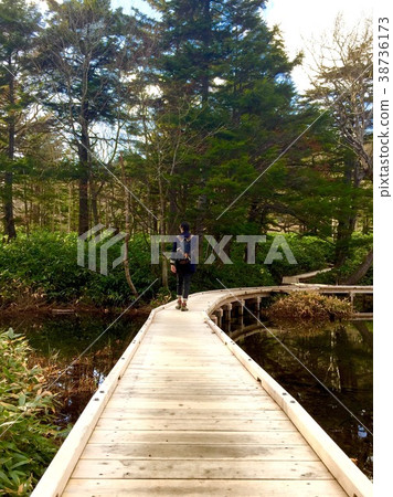 Ushiike Boardwalk Ushiike Boardwalk 38736173