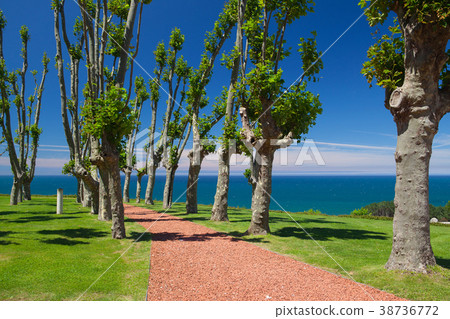 Park near Sobrellano Palace.Comillas,Cantabria Park near Sobrellano Palace.Comillas,Cantabria 38736772
