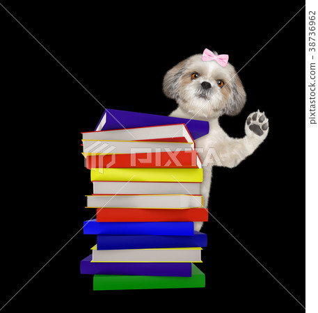 Intelligent dog with books isolated on black Intelligent dog with books isolated on black 38736962