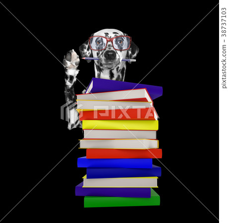 Intelligent dalmatian dog with books Intelligent dalmatian dog with books 38737103