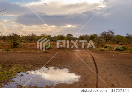 Sunset on the hills and a bed of palm trees  38737844