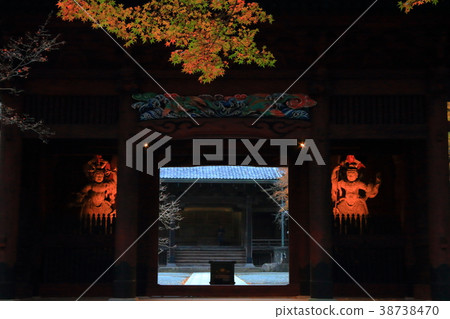 Autumn leaves and temple gate Autumn leaves and temple gate 38738470