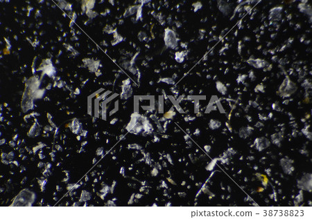 House Dust Seen With A Microscope Stock Photo 3873