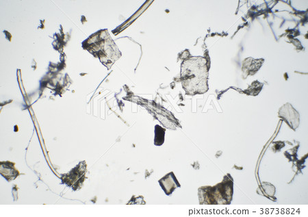 用顯微鏡看見的房子塵土 38738824