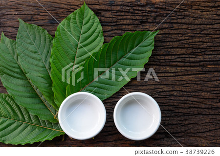 Kratom (Mitragyna speciosa) Mitragynine leaves 38739226