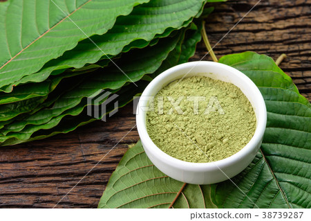 Mitragynina speciosa or Kratom leaves with powder 38739287
