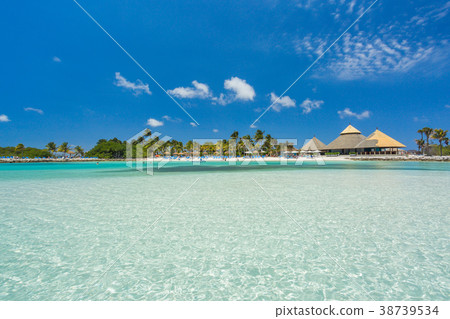 Flamingo beach at Aruba island 38739534