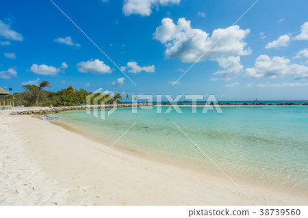Flamingo beach at Aruba island 38739560