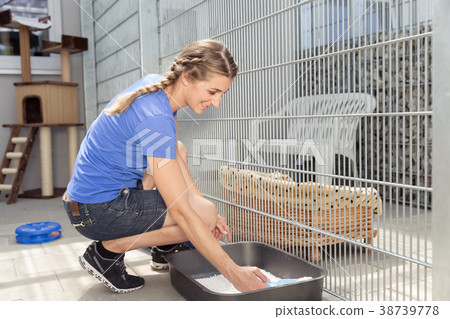 Zookeeper cleaning dog cage in animal shelter 38739778