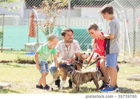 Mom with her sons walking dogs of an animal 38739780