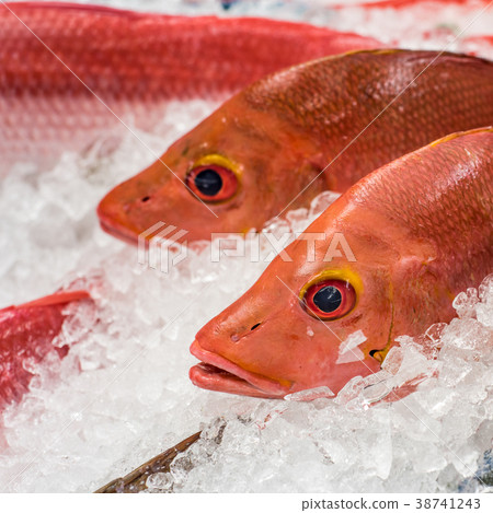 Red snapper at a fish market 38741243