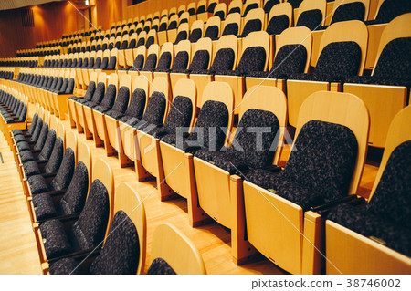 Venue Seat 38746002
