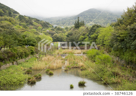 Arboretum, Wando County, Jeonnam 38746126