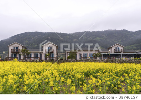 Cheansan-do，Wando-gun，Jeonnam 38746157