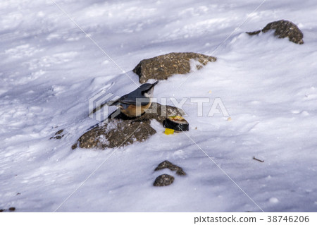 Jirisan, Hamyang-gun, Gyeongnam Jirisan, Hamyang-gun, Gyeongnam 38746206