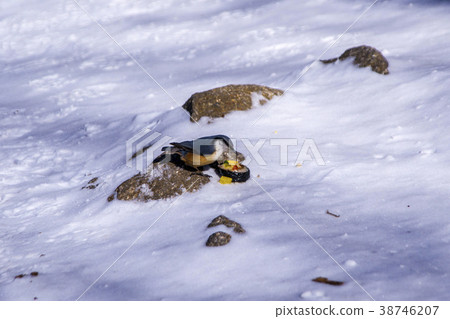 Jirisan, Hamyang-gun, Gyeongnam 38746207