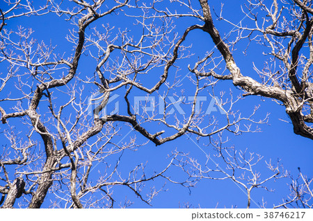 Jirisan, Hamyang-gun, Gyeongnam 38746217