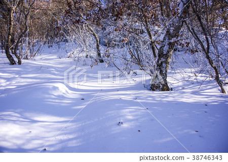 Jirisan, Hamyang-gun, Gyeongnam 38746343