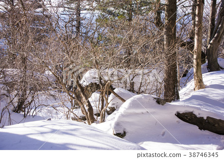 Jirisan, Hamyang-gun, Gyeongnam 38746345