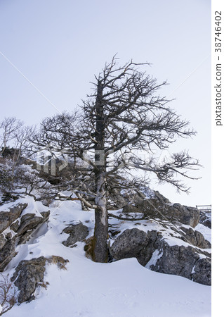 Jirisan, Hamyang-gun, Gyeongnam Jirisan, Hamyang-gun, Gyeongnam 38746402