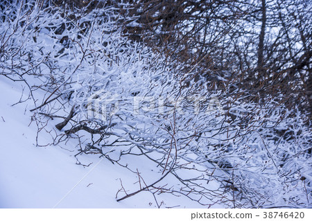 Jirisan, Hamyang-gun, Gyeongnam 38746420