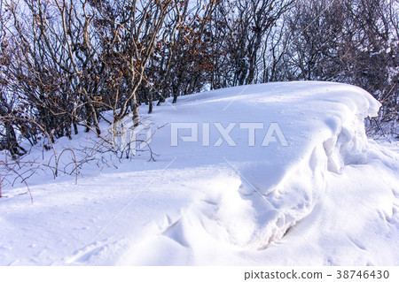 Jirisan, Hamyang-gun, Gyeongnam 38746430