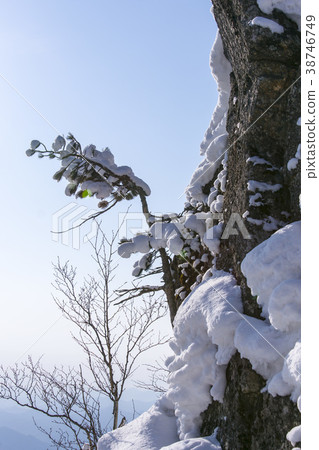 Jirisan, Sancheong-gun, Gyeongnam 38746749