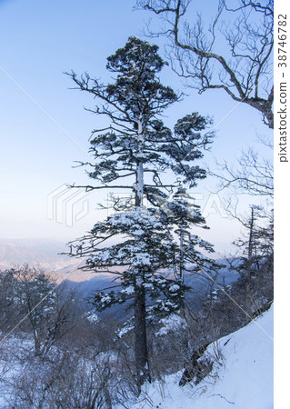 Jirisan, Sancheong-gun, Gyeongnam 38746782