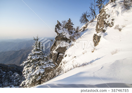 Jirisan, Sancheong-gun, Gyeongnam 38746785