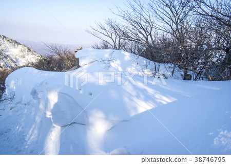 Jirisan, Sancheong-gun, Gyeongnam 38746795