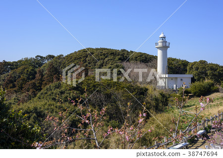 台東崎燈塔 38747694