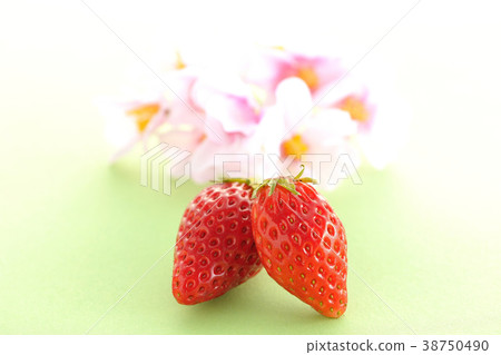 Strawberry and cherry blossoms nestling. 38750490